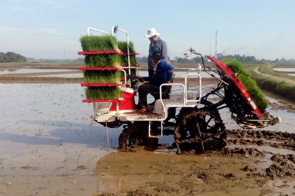 Transplanter Padi Yanmar AP4 sedang diuji coba di sawah di wilayah Karawang. Indonesia didorong untuk menjadi lumbung pangan dunia melalui studi pertanian oleh YARI-IPB.