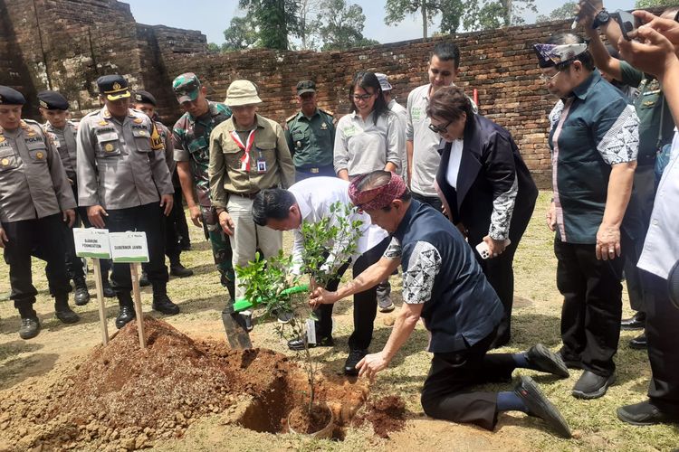 Penghijauan KCBN Candi Muaro Jambi di Kabupaten Muaro Jambi lewat aksi Siap Sadar Lingkungan (Darling) Bakti Lingkungan Djarum Foundation (BLDF) pada Rabu (23/8/2023).