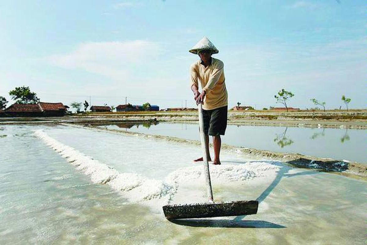 Petani memanen garam di petak penampung garam di Desa Mojowarno, Kecamatan Kaliori, Rembang, Jawa Tengah, Jumat (3/7). Nasib petani garam memprihatinkan, harga garam kerap jatuh saat musim panen yang datang bersamaan dengan musim kemarau.