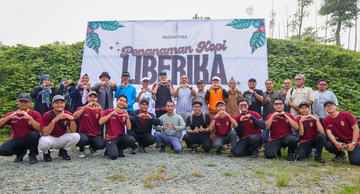 Kopi Liberika Jadi Komoditas Unggulan IKN, Apa Istimewanya?