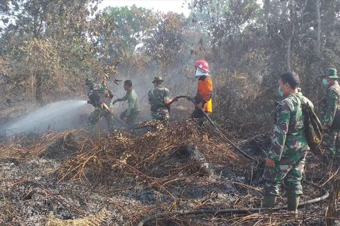 Kebakaran Lahan di Pekanbaru Meluas, Pemadaman Sulit Dilakukan 