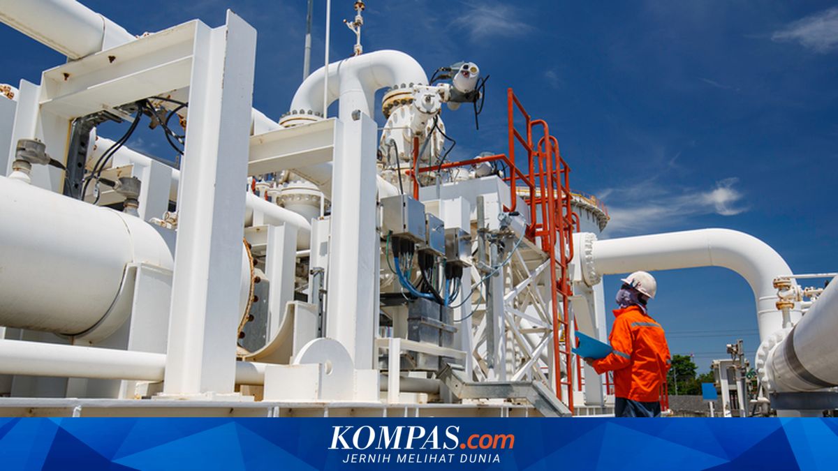 Ekonom: Harga Gas Bukan Satu-satunya Penentu Daya Saing Industri