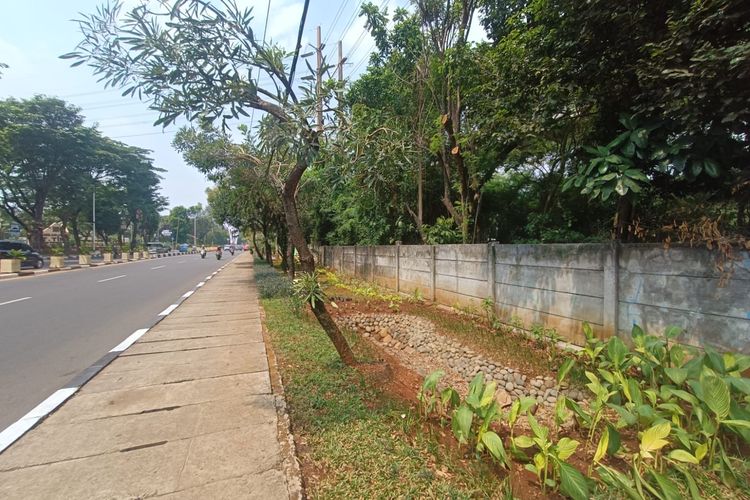 Tanaman hias di sepanjang Jalan Pintu 1 TMII, Jakarta Timur, yang ditanam oleh Sudin Tamhut Jakarta Timur untuk menyambut perhelatan KTT ASEAN pada 5-7 September 2023, Rabu (30/8/2023).
