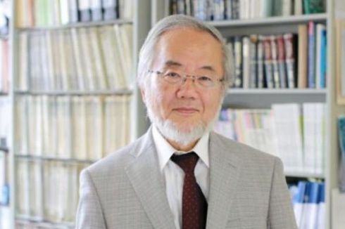 Ahli Biologi Jepang Mendapat Nobel Kedokteran 2016