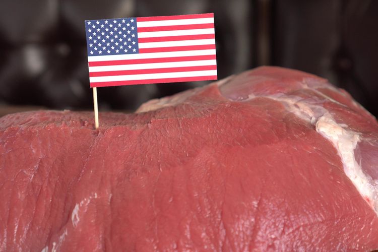 Ilustrasi daging sapi amerika. 