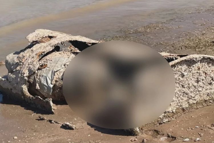 Sebuah tong berisi jasad manusia yang membusuk ditemukan di dasar Danau Mead Nevada Amerika Serikat (AS) setelah air dari waduk itu surut pada Minggu (1/5/2022).