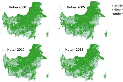 Izin Pinjam Pakai Hutan Paling Banyak Dikeluarkan di Era SBY