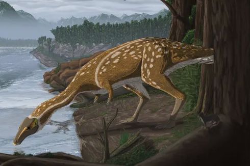 110 Juta Tahun Lalu, Dinosaurus Ompong yang Aneh Hidup di Australia