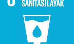 Mengenal Tujuan 6 SDGs: Air Bersih dan Sanitasi Layak