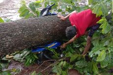 Bencana Angin Kencang di Wonogiri, Petani Tewas Tertimpa Pohon Tumbang