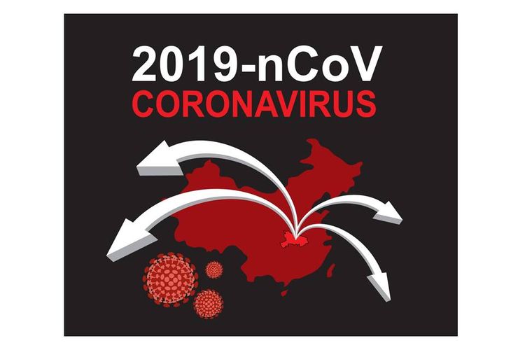 Imbauan Bagi Wni Mengenai Penyebaran Virus Corona Virus Covid 19