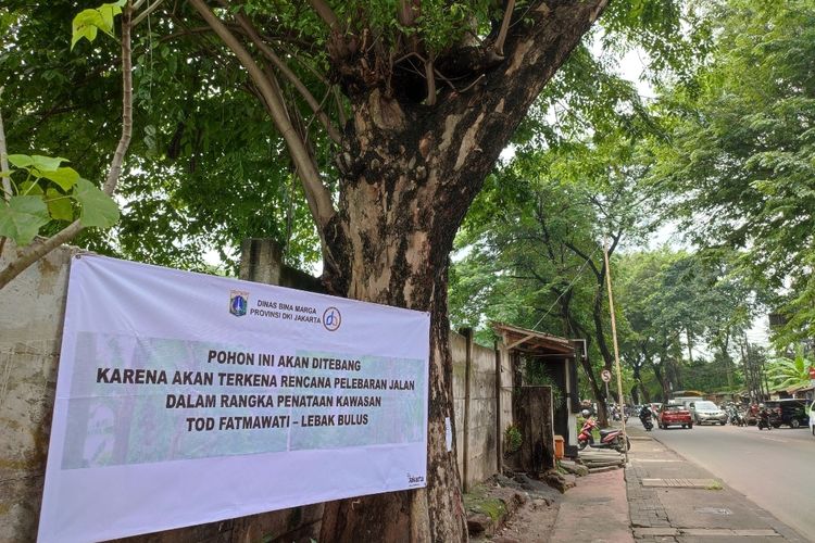 Spanduk dan kertas pengumuman penebangan pohon terpasang di atas trotoar Jalan RS Fatmawati Raya, Cilandak, Jakarta Selatan, Kamis (13/1/2022).