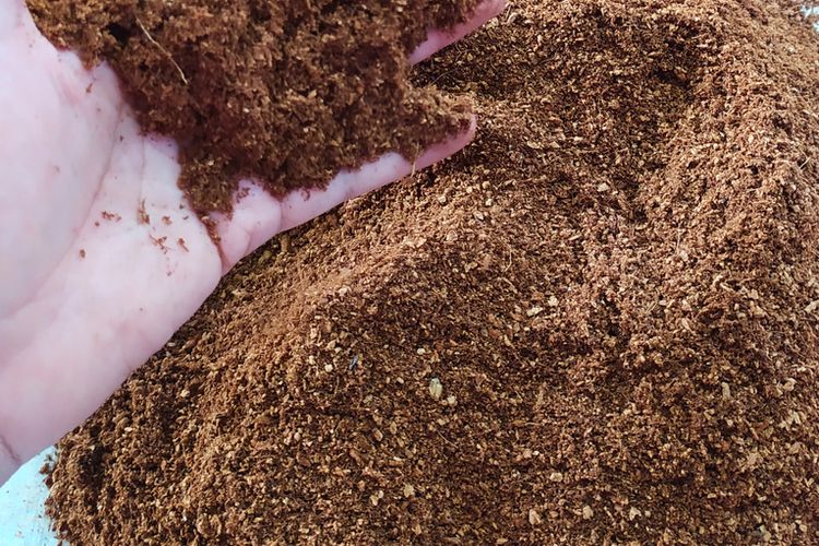 Ilustrasi cocopeat yang merupakan salah satu media tanam hidroponik. 