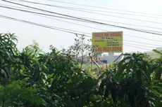 Dinas KPKP Hanya Memakai 1 Hektar Lahan di Cengkareng Barat
