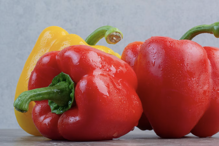 ilustrasi paprika, sayuran yang baik unutk penderita penyakit ginjal.