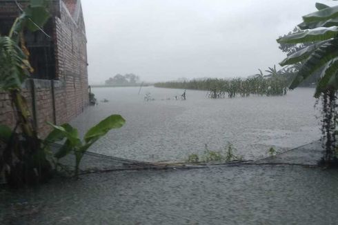 Update Banjir Grobogan: Seorang Bocah Tewas Tenggelam di Sawah yang Terendam Banjir