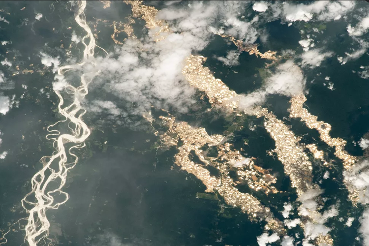 Sungai emas di Amazon yang diabadikan dari Stasiun Luar Angkasa Internasional (ISS) NASA.

