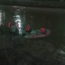 Debit Air Tinggi, Petugas Damkar Kesulitan Cari Bocah Hanyut di Sungai Kampung Pulo
