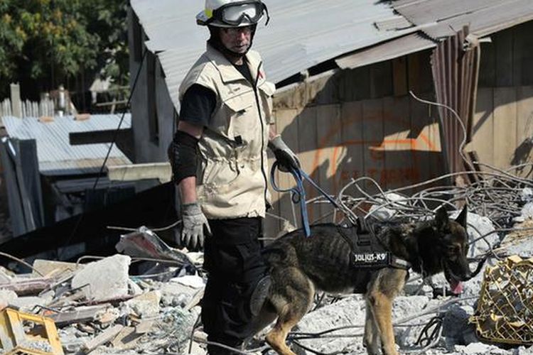 Anjing pelacak digunakan oleh polisi dan tim penyelamat di berbagai negara di dunia untuk melacak korban selamat maupun penyelundupan narkoba. [Via DW Indonesia]