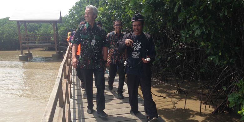 Gubernur Jateng Ganjar Pranowo di wisata susur mangrove Desa Kaliwingi, Kecamatan Brebes, Kabupaten Brebes, Jawa Tengah.
