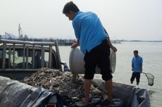 Pemprov DKI Paparkan Penyebab Ikan-ikan Mati di Laut Ancol