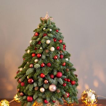 Ilustrasi pohon natal kecil. 