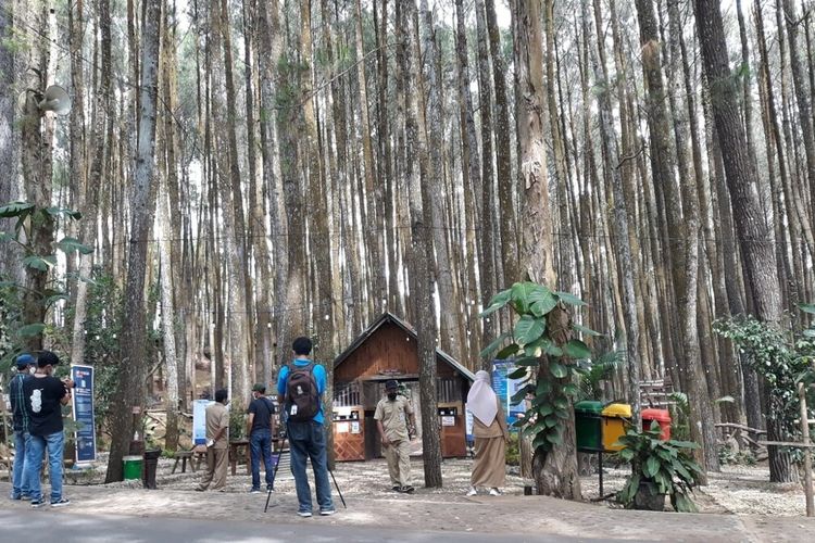 Uji coba Pinus Sari, Mangunan, Dlingo, Bantul Senin (13/9/2021)