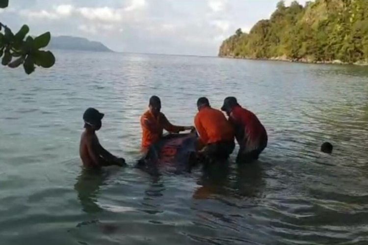 Jenazah korban ditemukan dan dievakuasi tim SAR di pesisir pantai Likupang, Minahasa Utara, Selasa (16/11/2021).