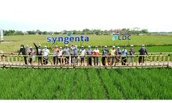 Dukung Ketahanan Pangan, Syngenta Pacu Kapabilitas Petani lewat Learning Centers