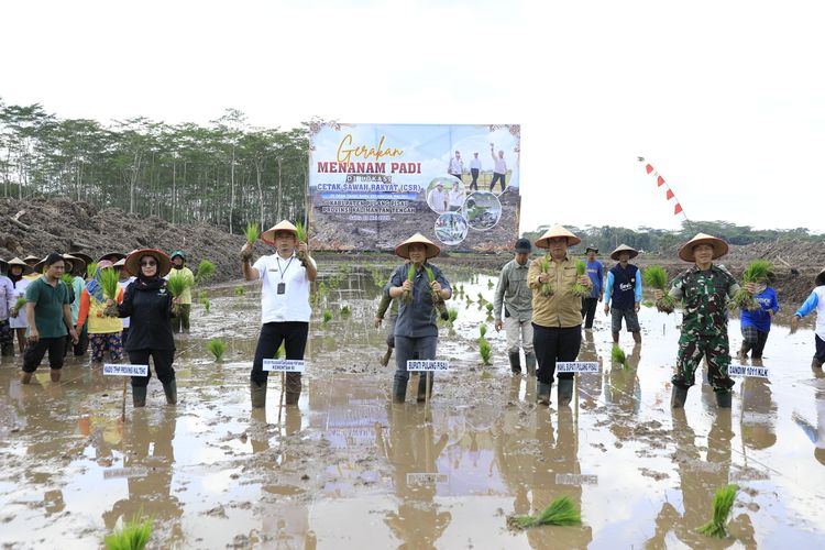 Pelaksanaan tanam perdana di lokasi cetak sawah baru yang terletak di Desa Tahai Baru, Kecamatan Maliku, Kabupaten Pulang Pisau, Kalimantan Tengah (Kalteng).