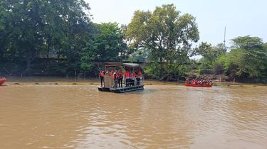 Kali Bekasi Jadi “Sarang” Ikan Sapu-sapu, Penangkapan Massal Juni 2026