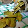 Benarkah Daun Salam Ampuh Mencegah Serangga Masuk Lemari? 