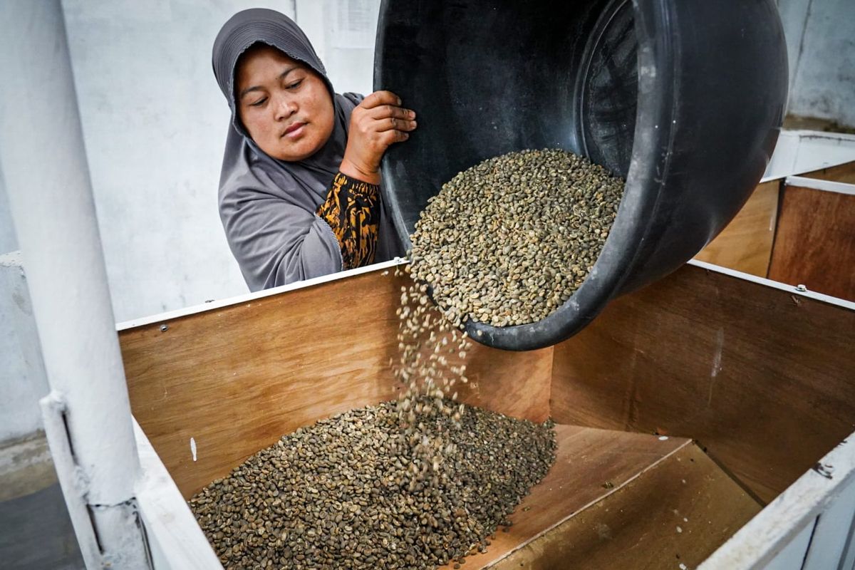 Petani kopi di Aceh Tengah.