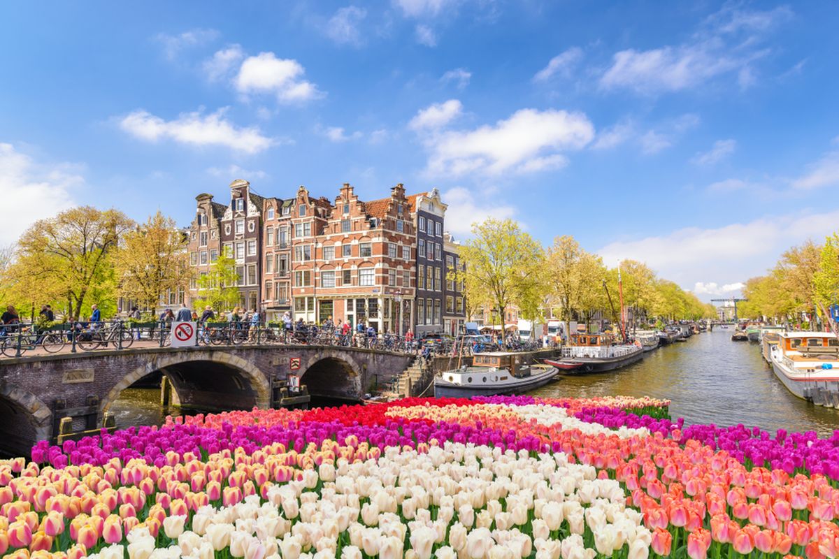 Ilustrasi panorama kanal di Amsterdam saat musim bunga tulip. 