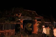 Belasan Pohon Tumbang akibat Angin Kencang di Malang, Warga: Orang-orang Histeris