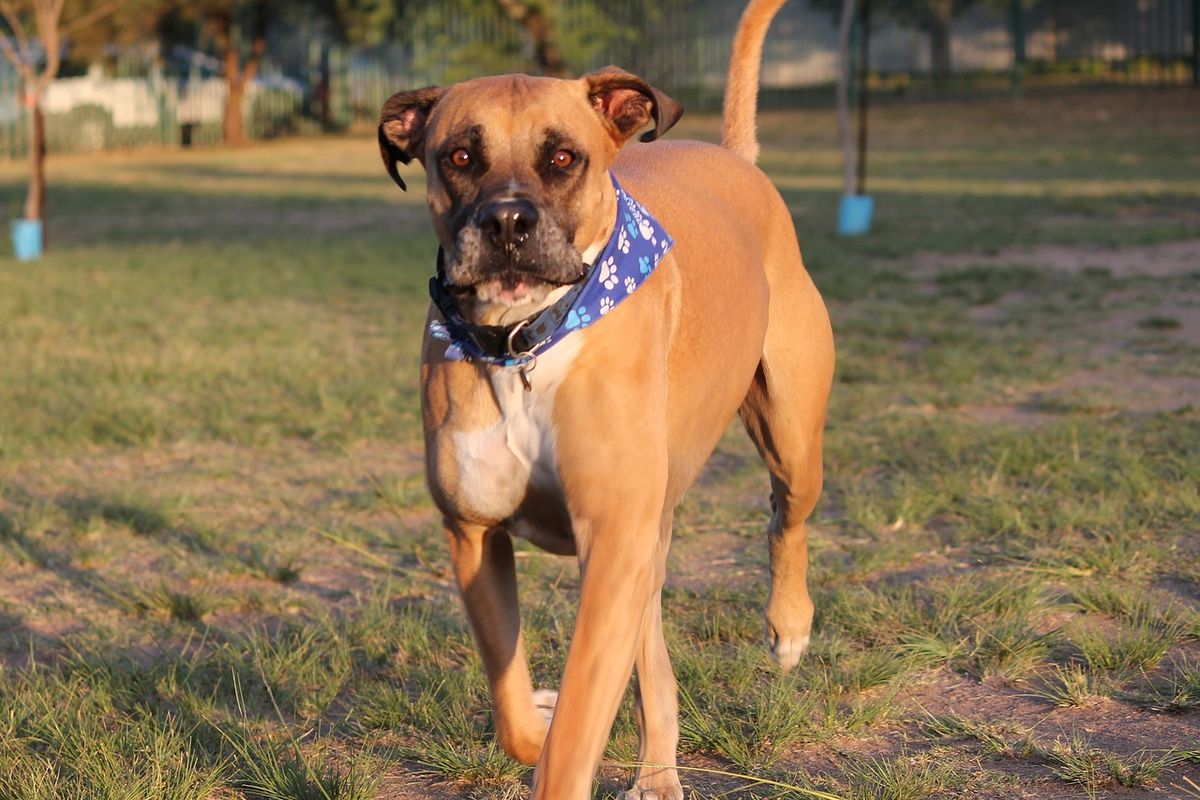 Mashhurlar, professional aktrisalarning porno suratlari