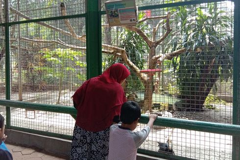 Orangtua, Jangan Sibuk dengan Gadget Saat di Kebun Binatang Ragunan!