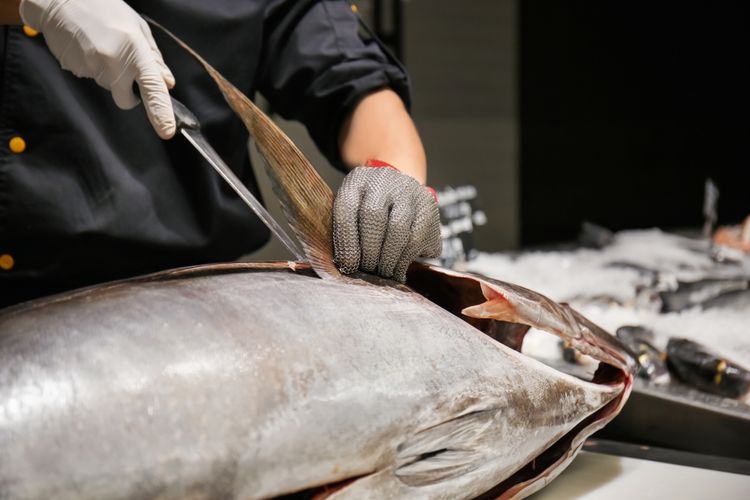Ilustrasi chef memotong kepala tuna. 