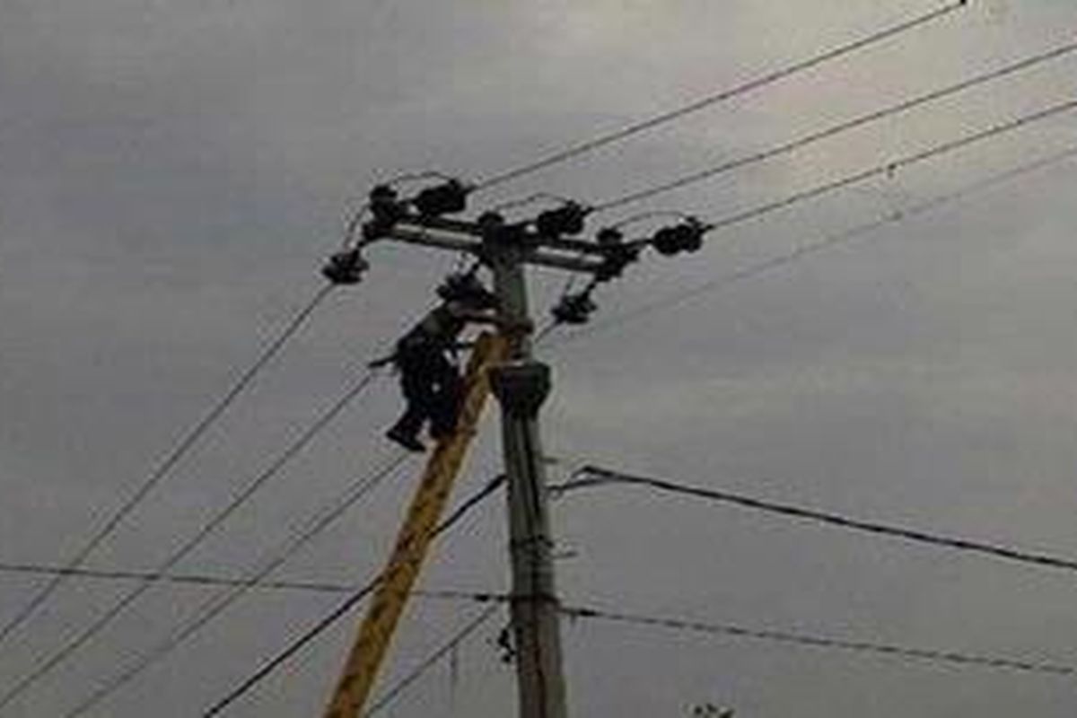 Petugas PT PLN memperbaiki jaringan yang rusak di Kelurahan Curug, Kota Depok, Sabtu (8/10/2011) pagi.