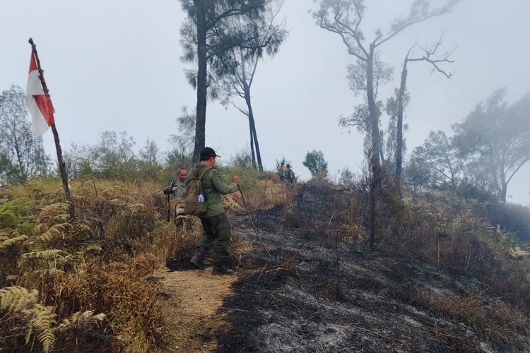 Kebakaran Gunung Buthak-Kawinajang Meluas hingga Kabupaten Blitar