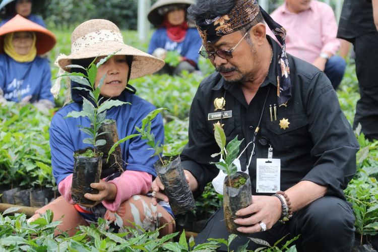 Menteri Pertanian Syahrul Yasin Limpo (Mentan SYL) meninjau nursey benih kopi di Kabupaten Garut Jawa Barat