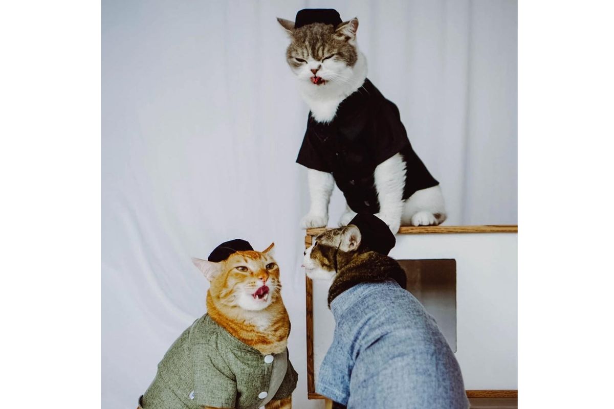 Pemuda Garut Sukses Kelola Hobi Jadi Bisnis, Astaga Begini Kisahnya!