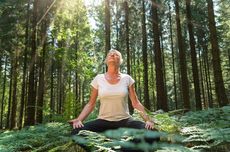 5 Hal yang Perlu Diperhatikan Sebelum Melakukan Forest Bathing 