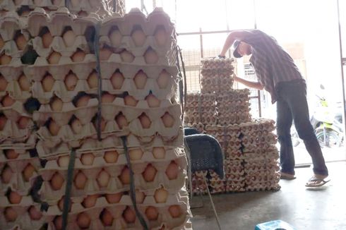 Ibu Rumah Tangga di Batam Mulai Keluhkan Kenaikan Harga Telur Ayam 
