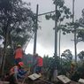 Petani Lega Tak Bayar Denda PLN Rp 9 Juta, Perbaikan Tiang Listrik dari Biaya Pemeliharaan