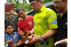 Ridwan Kamil Luncurkan Sepatu “RK Fashion”
