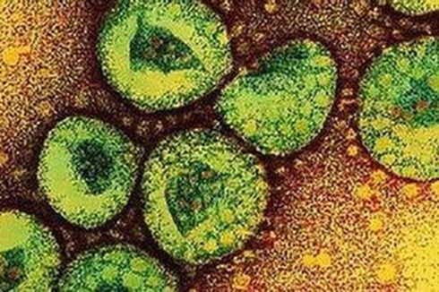 Suspek Belum Tentu Positif Terinfeksi Virus Corona 