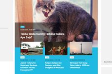 [POPULER TREN] Tanda-tanda Kucing Terkena Rabies | Pencairan Bansos PKH Tahap 2