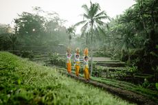 Yuk, Kenal Lebih Dekat 5 Situs Warisan Dunia di Indonesia, Borobudur hingga Subak Bali