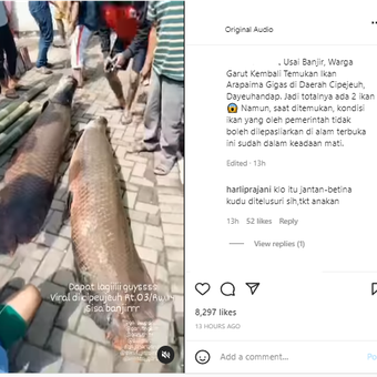 Tangkapan layar ikan Arapaima di Garut, Jawa Barat